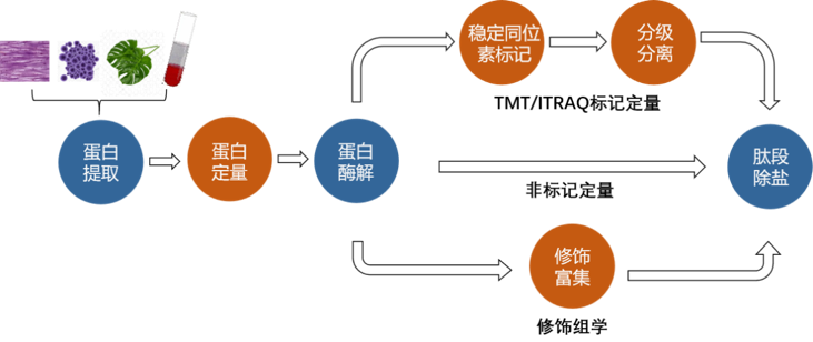 圖片.png